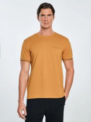 Koszulka męska bawełniana z logo BIG STAR brązowa Wlader 803. Brązowe t-shirty męskie Big Star, l, bez wzorów, z bawełny, eleganckie, bez kołnierzyka. Za 119.99 zł.