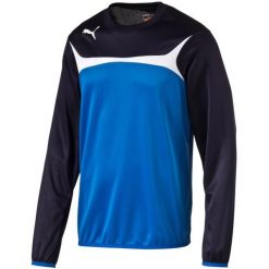 PUMA Esito 3 Training Sweat bluza męska. Niebieskie bluzy męskie Puma, m, bez wzorów, z materiału, bez kaptura. Za 65.99 zł.