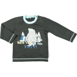 Mmdadak Chłopięca Koszulka Yeti 92 Szary. T-shirty dla chłopców Mmdadak. Za 33.00 zł.