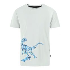 Koszulka Chłopięca Amuse II Velociraptor. Zielone t-shirty dla chłopców Dare 2b, bez wzorów, z elastanu, bez ramiączek. Za 97.99 zł.