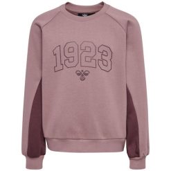 Bluza dla dziewczynki Hummel hmlKANNA. Fioletowe bluzy dla dziewczynek Hummel, bez wzorów, z bawełny, bez ramiączek, bez kaptura. Za 177.00 zł.