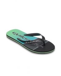 Klapki dla Mężczyzn MOLOKAI STRIPE Szary. Szare klapki męskie Quiksilver, z gumy. Za 94.99 zł.