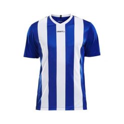 Koszulka Craft progress stripe. Białe koszulki sportowe męskie Craft, l, bez wzorów, z materiału, bez kołnierzyka, bez ramiączek, na fitness i siłownię. Za 148.50 zł.