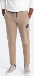 Ombre Spodnie męskie dresowe z logotypem brązowe V3 OM-PASK-0167 XXL. Brązowe spodnie sportowe męskie Ombre, m, bez wzorów, z dresówki. Za 149.99 zł.