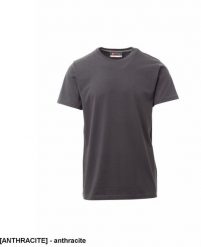 PAYPER T-shirt męski koszulka BAWEŁNA ELASTYCZNA komfort podczas intensywnych ćwiczeń 100% bawełna g/m biały zielony anthracite M. Białe t-shirty męskie PAYPER, m, bez wzorów, z bawełny, bez kołnierzyka. Za 42.40 zł.