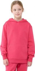 Bluza dla dziewczynki 4F F1854 fuksja 4FJWSS25TSWSF1854 55S 146cm. Czerwone bluzy dla dziewczynek 4f, bez wzorów, bez ramiączek, bez kaptura. Za 136.14 zł.