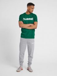 Koszulka sportowa z krótkim rękawem męska Hummel Cotton Logo. Zielone koszulki sportowe męskie Hummel, m, bez wzorów, z bawełny, bez kołnierzyka, bez ramiączek, do piłki nożnej. Za 39.69 zł.
