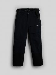 4F Spodnie narciarskie 4F PRO z ociepliną Primaloft membrana Dermizax 20000 męskie - czarne XXL. Czarne spodnie snowboardowe męskie 4f, m, bez wzorów, narciarskie, Dermizax. Za 1,199.99 zł.
