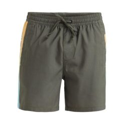 Szorty kąpielowe dla Mężczyzn EVERYDAY HOLMES 16" Brązowy. Brązowe krótkie spodenki sportowe męskie Quiksilver, m, bez wzorów, z materiału. Za 179.99 zł.
