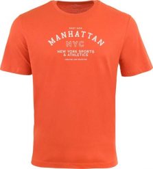 T-shirt męski Athl. Dpt Aster A0300 Pomarańczowy. Brązowe t-shirty męskie Erima, na lato, l, bez wzorów, z bawełny, eleganckie, bez kołnierzyka. Za 122.99 zł.