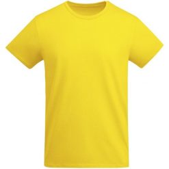 Męska Koszulka Breda Plain T-shirt. Żółte koszulki sportowe męskie ROLY, m, bez wzorów, bez kołnierzyka, bez ramiączek, trekkingowe. Za 42.99 zł.