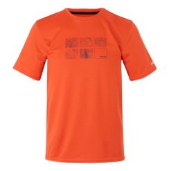 Męska Koszulka Topograficzna Fingal IX. Brązowe koszulki sportowe męskie Regatta, m, bez wzorów, bez kołnierzyka, bez ramiączek, trekkingowe. Za 42.99 zł.