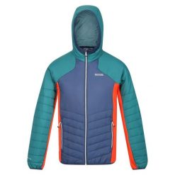 Męski Softshell Z Kapturem Trutton. Czarne kurtki męskie Regatta, m, bez wzorów, z softshellu, sportowe, z kapturem. Za 170.99 zł.