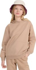 Bluza dla dziewczynki 4F F1854 beżowa 4FJWSS25TSWSF1854 83S 140cm. Brązowe bluzy dla dziewczynek 4f, bez wzorów, bez ramiączek, bez kaptura. Za 136.14 zł.