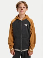 Quiksilver Bluza Knowledge Area EQBFT03949 Kolorowy Regular Fit. Bluzy dla chłopców Quiksilver, bez wzorów, z bawełny, bez ramiączek, bez kaptura. Za 229.99 zł.