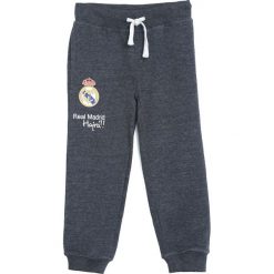 Ciemnoszare Spodnie Dresowe Bast Chance. Szare spodnie sportowe dla chłopców Born2be, z dresówki. Za 49.99 zł.