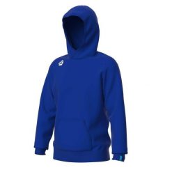 Bluza z kapturem Arena Team Panel. Niebieskie bluzy męskie Arena, xl, bez wzorów, z bawełny, z kapturem. Za 293.99 zł.