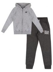 Bluza z kaptur na trening na czas wolny. Szare bluzy męskie LEONE 1947 APPAREL, bez wzorów, z dresówki, bez kaptura. Za 273.65 zł.