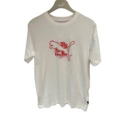 Puma Koszulka Euro Cup England 68454202. Białe koszulki sportowe męskie Puma, l, bez wzorów, z materiału, bez kołnierzyka, bez ramiączek. Za 93.99 zł.