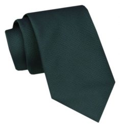 Modny Krawat Męski - Alties - Butelkowa Zieleń, Jednokolorowy. Zielone krawaty i muchy Alties, bez wzorów, z tkaniny, eleganckie. Za 49.00 zł.