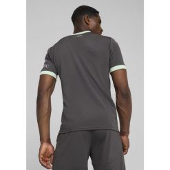 T-Shirt Puma AC Milan Replika Trzeciej Koszulki Dla Dorosłych. Szare koszulki sportowe męskie Puma, s, bez wzorów, sportowe, bez kołnierzyka. W wyprzedaży za 264.00 zł.