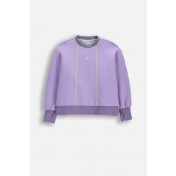 Bluza sportowa dziewczęca Lemon Explore WL6 fioletowa bomberka. Fioletowe bluzy dla dziewczynek LEMON explore, na jesień, bez wzorów, z bawełny, bez ramiączek, bez kaptura. Za 89.90 zł.
