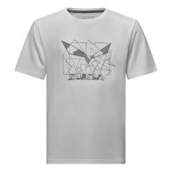 T-shirt Salewa Eagle Geometric. Czarne t-shirty męskie Salewa, s, bez wzorów, z lyocellu, bez kołnierzyka. Za 231.50 zł.