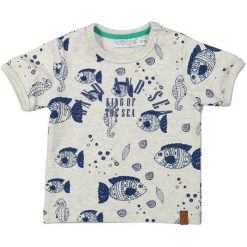 Dirkje Koszulka Chłopięca 62 Szaro-Niebieska. T-shirty dla chłopców marki Dirkje. Za 42.00 zł.