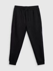 Spodnie treningowe joggery z technicznego materiału męskie czarne 4F Czarny L. Czarne spodnie sportowe męskie 4f, l, bez wzorów, z dzianiny. Za 159.99 zł.