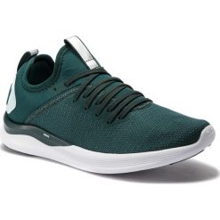 Buty PUMA - Ignite Flash EvoKnit Sr Wn's 192457 01 Ponderosa Pine/Fair Aqua. Obuwie sportowe damskie marki Puma. Za 349.00 zł.