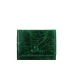 Mały portfel damski Canaletto ze skóry naturalnej licowej – elegancja i funkcjonalność PD2001s257. Zielone portfele damskie bez wzorów, ze skóry. Za 148.20 zł.