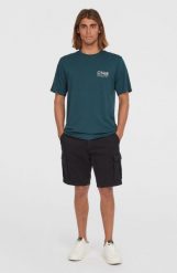 Szorty cargo męskie O'Neill Essentials. Brązowe krótkie spodenki sportowe męskie O'Neill, m, bez wzorów, z bawełny, trekkingowe. Za 299.00 zł.