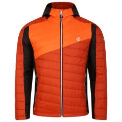 Kurtka Turystyczna Męska Z Podpinką. Brązowe kurtki męskie Dare 2b, l, bez wzorów, z puchu, sportowe, bez kaptura. Za 162.99 zł.