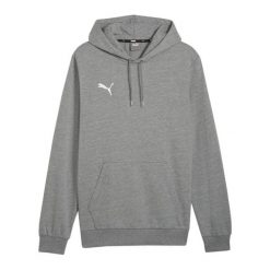 Męska Bluza Z Kapturem Team Goal Casual. Szare bluzy męskie Puma, m, bez wzorów, z kapturem. Za 256.99 zł.