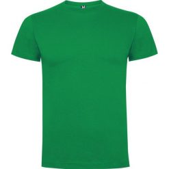 Męska Koszulka Dogo Premium. Zielone koszulki sportowe męskie ROLY, m, bez wzorów, bez kołnierzyka, bez ramiączek, trekkingowe. Za 31.99 zł.