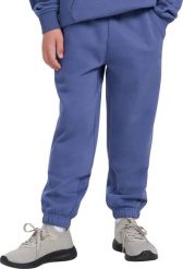 4f Spodnie dla chłopca 4F CAS M1245 niebieskie 4FJWAW25TTROM1245 33S 158cm. Niebieskie spodnie sportowe dla chłopców 4f, bez wzorów, sportowe. Za 71.57 zł.