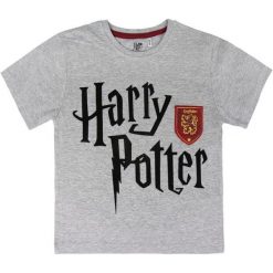 Disney Koszulka Dziecięca Harry Potter 104 Szary. Bluzki dla dziewczynek Disney. Za 35.00 zł.