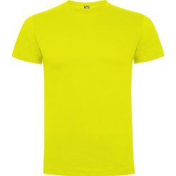 Męska Koszulka Dogo Premium. Szare koszulki sportowe męskie ROLY, m, bez wzorów, bez kołnierzyka, bez ramiączek, trekkingowe. Za 34.99 zł.