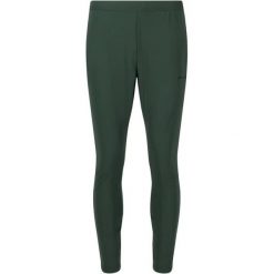Pantalon Endurance Dyne. Zielone spodnie sportowe męskie Endurance, bez wzorów, na fitness i siłownię. Za 256.50 zł.