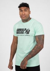 Koszulka sportowa męska Classic int. Zielone koszulki sportowe męskie GORILLA WEAR, l, bez wzorów, z bawełny, bez kołnierzyka, bez ramiączek, na fitness i siłownię. Za 178.00 zł.