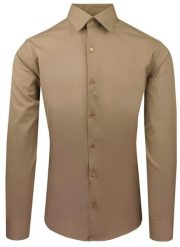 Brązowa Koszula Bawełniana o Taliowanym Kroju, Jednokolorowa. Brązowe koszule męskie Pazzani, bez wzorów, z bawełny, eleganckie, bez kołnierzyka, bez ramiączek. Za 169.00 zł.