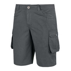 Męskie Spodenki Askja. Szare krótkie spodenki sportowe męskie Alpinus, m, bez wzorów, trekkingowe. Za 228.99 zł.