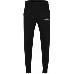 Spodnie Puma ESS 2 Col Logo Pants TR cl, Mężczyźni. Czarne buty sportowe męskie Puma, z bawełny, bez zapięcia, na fitness i siłownię. Za 290.00 zł.