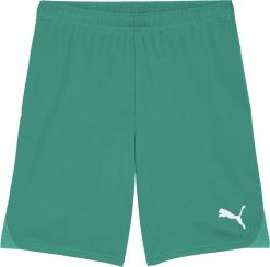 Puma Spodenki męskie Team Goal zielone 705752 05 2XL. Zielone krótkie spodenki sportowe męskie Puma, m, bez wzorów. Za 98.99 zł.