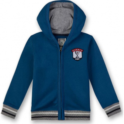 Bluza w kolorze niebieskim. Bluzy dla chłopców marki bonprix. W wyprzedaży za 107.95 zł.