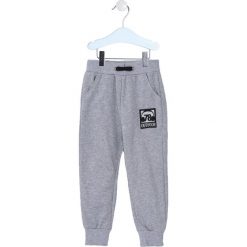 Jasnoszare Spodnie Hampton. Jeansy dla chłopców Born2be, z jeansu. Za 39.99 zł.
