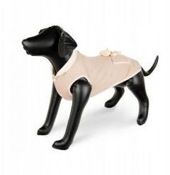 Bluza, ocieplana, z misiem, be�owa, rozmiar M, 40. Bluzy damskie Alexiss, m, bez wzorów, bez kaptura. Za 55.01 zł.