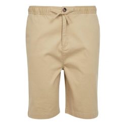 Shorty Męskie Chino Aldan. Brązowe krótkie spodenki sportowe męskie Regatta, m, bez wzorów, trekkingowe. Za 80.99 zł.