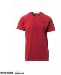 PAYPER T-shirt męski koszulka BAWEŁNA ELASTYCZNA komfort podczas intensywnych ćwiczeń 100% bawełna g/m biały zielony bordeaux XS. Białe t-shirty męskie PAYPER, m, bez wzorów, z bawełny, bez kołnierzyka. Za 42.40 zł.