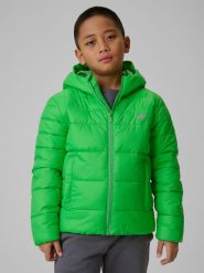 4F Kurtka z wypełnieniem syntetycznym chłopięca - zielona 152 (11-12 lat). Zielone kurtki i płaszcze dla chłopców 4f, bez wzorów, z syntetyku, bez kaptura. Za 179.99 zł.